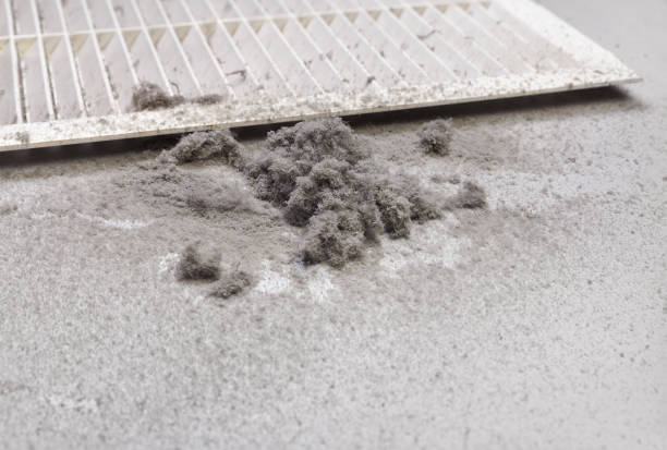 Best Air Duct Cleaning Near Me  in Waynesville, OH