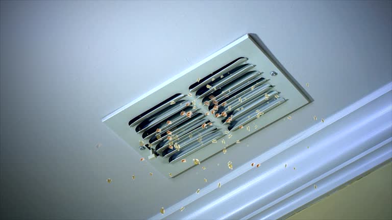 Best Air Duct Cleaning Near Me  in Waynesville, OH