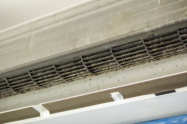 Best Local Air Duct Cleaning Services  in Waynesville, OH